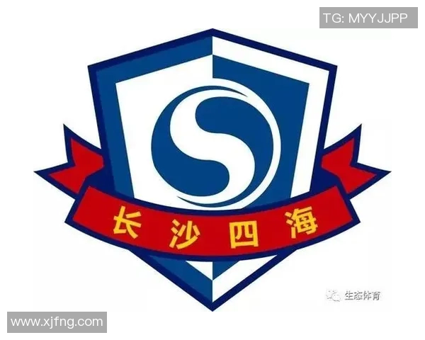 深入分析中乙球队阵容构建与战术运用的关键要素与发展趋势